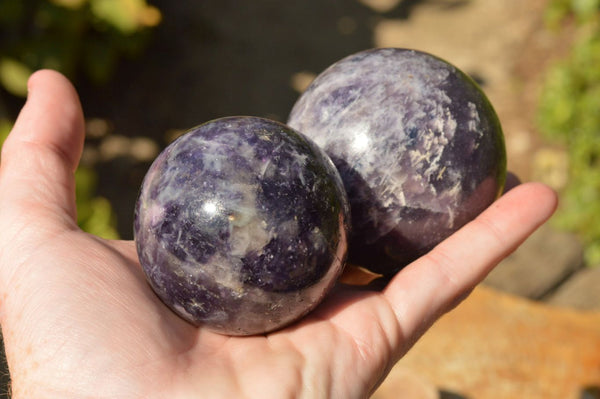 Polished Dark Purple Lepidolite Crystal Spheres  x 6 From Madagascar - TopRock