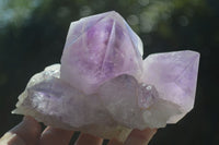 Natural Jacaranda Amethyst Clusters  x 3 From Mumbwa, Zambia - Toprock Gemstones and Minerals 