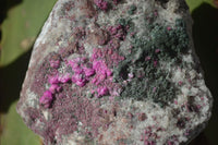 Natural Pink Salrose Cobaltion Dolomite Specimens  x 4 From Kakanda, Congo