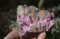 Natural Pink Salrose Cobaltion Dolomite Specimens  x 4 From Kakanda, Congo