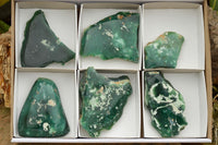 Natural One Side Polished Green Chrome Chrysoprase Slices  x 6 From Zimbabwe - TopRock