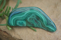 Polished Flower Banded Malachite Free Forms  x 12 From Congo - Toprock Gemstones and Minerals 