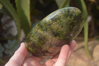 Polished Green Opal Standing Free Forms  x 3 From Antsirabe, Madagascar