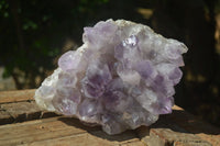 Natural Jacaranda Amethyst Clusters  x 2 From Mumbwa, Zambia - Toprock Gemstones and Minerals 