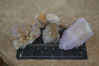 Natural Spirit Amethyst / Ametrine Quartz Crystals x 35 From Boekenhouthoek, South Africa - Toprock Gemstones and Minerals 