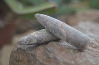 Natural Rare Malagasy Belemnite Fossils  x 35 From Maintirano, Madagascar - Toprock Gemstones and Minerals 