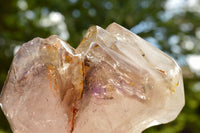 Polished Extra Large Smokey Amethyst Enhydro Window Quartz Crystal  x 1 From Madagascar - TopRock