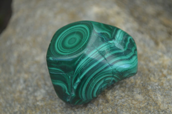 Polished Flower Banded Malachite Free Forms  x 12 From Congo - Toprock Gemstones and Minerals 