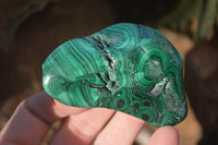 Polished Flower Malachite Free Forms  x 12 From Congo - Toprock Gemstones and Minerals 