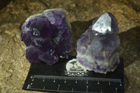 Natural Small Dark Amethyst Clusters x 12 From Zambia