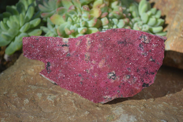 Natural Pink Salrose Cobaltion Dolomite Specimens  x 3 From Kakanda, Congo