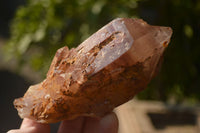 Natural Red Hematoid Phantom Quartz Specimens x 3 From Karoi, Zimbabwe