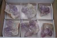 Natural Jacaranda Amethyst Clusters  x 6 From Mumbwa, Zambia - Toprock Gemstones and Minerals 