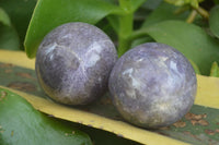 Polished Purple Rubellite Spheres (Some With Rubellite) x 6 From Madagascar - TopRock