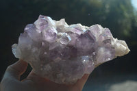 Natural Jacaranda Amethyst Clusters  x 2 From Mumbwa, Zambia - Toprock Gemstones and Minerals 