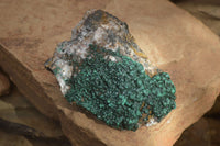 Natural Rare Ball Malachite On Drusy Quartz & Dolomite x 1 From Kambove, Congo