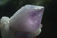 Natural Jacaranda Amethyst Clusters  x 3 From Mumbwa, Zambia - Toprock Gemstones and Minerals 