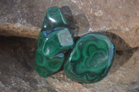 Polished Flower Banded Malachite Free Forms  x 12 From Congo - Toprock Gemstones and Minerals 