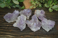 Natural Jacaranda Amethyst Clusters  x 6 From Mumbwa, Zambia - Toprock Gemstones and Minerals 