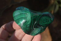 Polished Flower Malachite Free Forms  x 12 From Congo - Toprock Gemstones and Minerals 