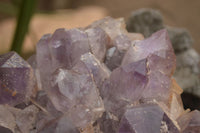 Natural Large Amethyst Crystal Specimen x 1 From Zambia - TopRock