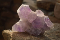 Natural Jacaranda Amethyst Clusters x 2 From Zambia