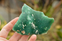 Natural One Side Polished Green Chrome Chrysoprase Slices  x 6 From Zimbabwe - TopRock