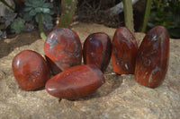 Polished Red Flame Jasper Standing Free Forms  x 6 From Madagascar