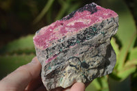 Natural Pink Salrose Cobaltion Dolomite Specimens  x 4 From Kakanda, Congo