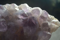 Natural Jacaranda Amethyst Clusters  x 2 From Mumbwa, Zambia - Toprock Gemstones and Minerals 