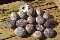 Polished Lithium Mica Purple Lepidolite Palm Stones (Some With Pink Rubellite) x 24 From Madagascar - TopRock