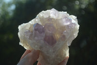 Natural Jacaranda Amethyst Clusters  x 3 From Mumbwa, Zambia - Toprock Gemstones and Minerals 