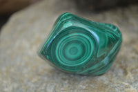 Polished Flower Banded Malachite Free Forms  x 12 From Congo - Toprock Gemstones and Minerals 