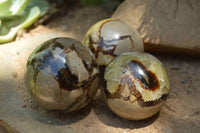 Polished Septerye, Calcite, Aragonite  Spheres x 12 From Madagascar - TopRock