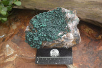 Natural Rare Ball Malachite On Drusy Quartz & Dolomite x 1 From Kambove, Congo