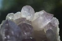 Natural Jacaranda Amethyst Clusters  x 3 From Mumbwa, Zambia - Toprock Gemstones and Minerals 