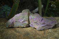 Natural Rough Stichtite Cobbed Specimens  x 6 From Barberton, South Africa - Toprock Gemstones and Minerals 