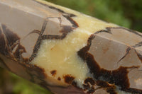 Polished Large Septaria (Yellow Calcite and Aragonite) Point x 1 From Mahajanga, Madagascar - TopRock