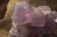 Natural Jacaranda Amethyst Clusters x 2 From Zambia