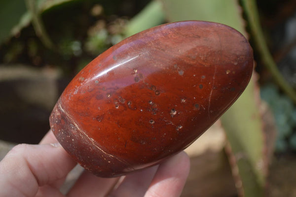 Polished Red Flame Jasper Standing Free Forms  x 6 From Madagascar