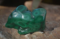 Polished Flower Malachite Free Forms  x 12 From Congo - Toprock Gemstones and Minerals 