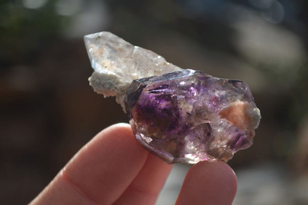 Natural Single Window Amethyst Crystals  x 15 From Chiredzi, Zimbabwe