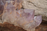 Natural Large Amethyst Crystal Specimen x 1 From Zambia - TopRock