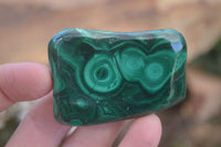 Polished Flower Banded Malachite Free Forms  x 12 From Congo - Toprock Gemstones and Minerals 