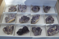 Natural Dark Amethyst Crystal Clusters x 12 From Zambia