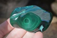 Polished Flower Banded Malachite Free Forms  x 12 From Congo - Toprock Gemstones and Minerals 