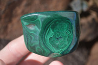 Polished Flower Banded Malachite Free Forms  x 12 From Congo - Toprock Gemstones and Minerals 