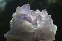 Natural Jacaranda Amethyst Clusters  x 3 From Mumbwa, Zambia - Toprock Gemstones and Minerals 