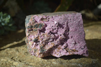 Natural Pink Salrose Cobaltion Dolomite Specimens  x 4 From Kakanda, Congo