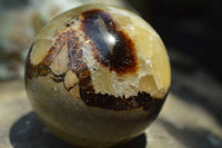 Polished Septerye, Calcite, Aragonite  Spheres x 12 From Madagascar - TopRock